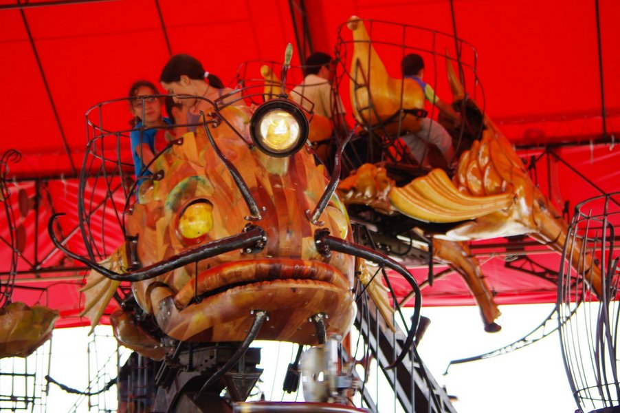 Le Manege Carre Senart concu par Francois Delaroziere 072.jpg